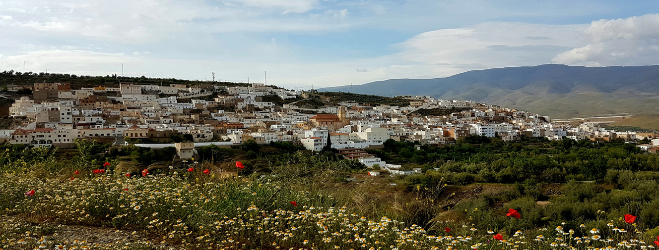 Vista panorámica de Abla 